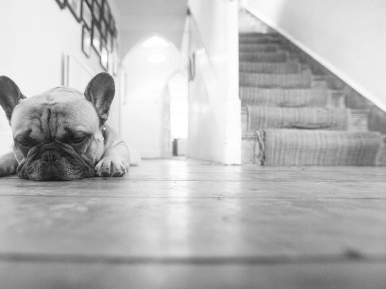Creating Daily Opportunities For Quiet Time