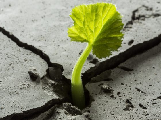 Personal Resilience 101