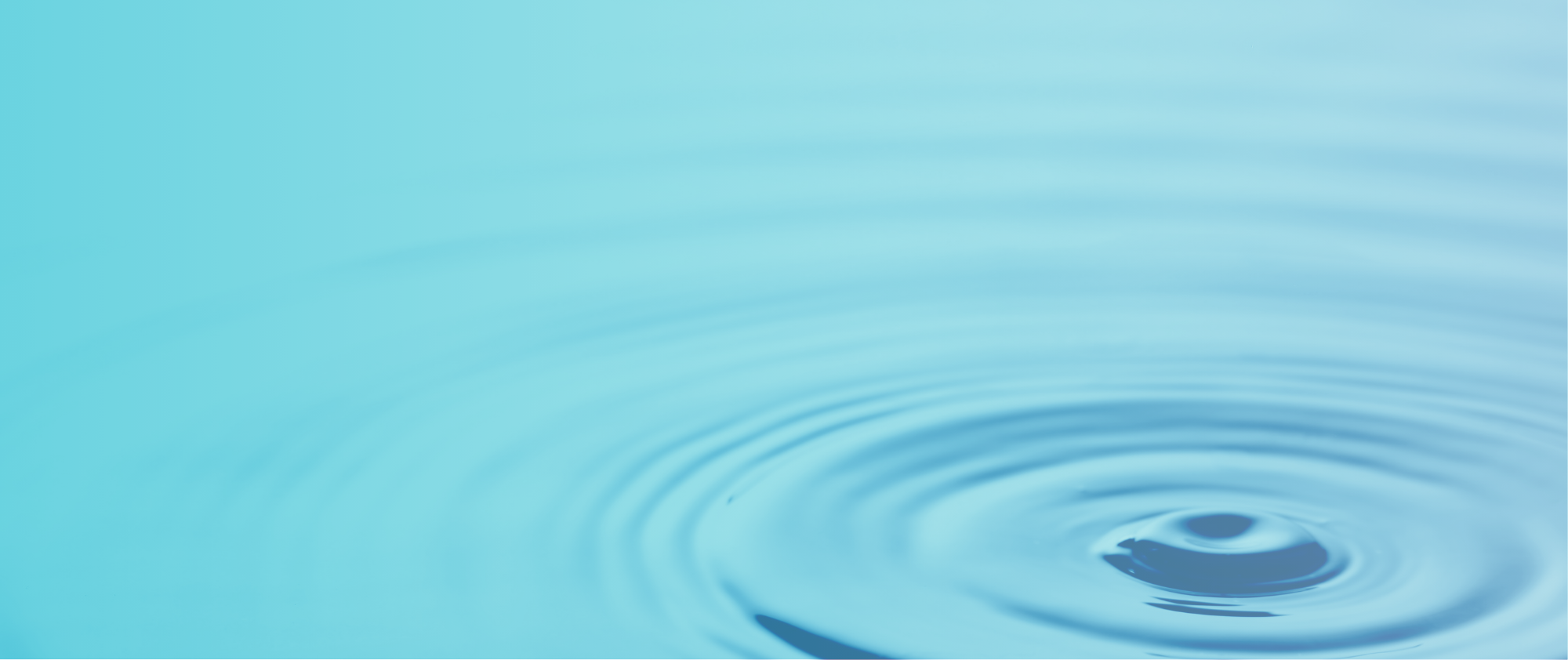 Mindfulness Workshop with Neil Seligman